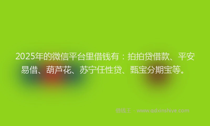 2025年的微信平台里借钱有：拍拍贷借款、平安易借、葫芦花、苏宁任性贷、甄宝分期宝等。