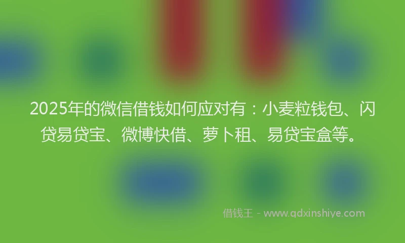 2025年的微信借钱如何应对有：小麦粒钱包、闪贷易贷宝、微博快借、萝卜租、易贷宝盒等。