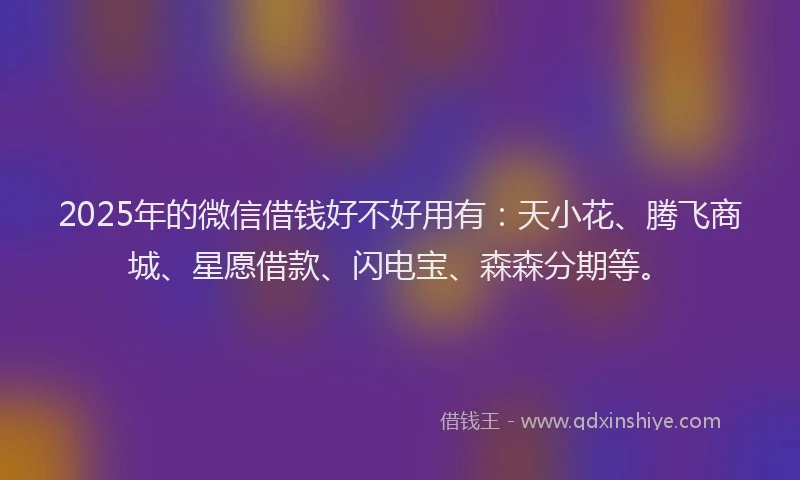 2025年的微信借钱好不好用有：天小花、腾飞商城、星愿借款、闪电宝、森森分期等。