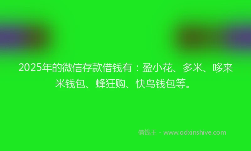 2025年的微信存款借钱有：盈小花、多米、哆来米钱包、蜂狂购、快鸟钱包等。