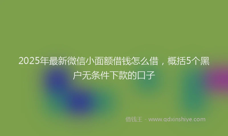 2025年最新微信小面额借钱怎么借，概括5个黑户无条件下款的口子