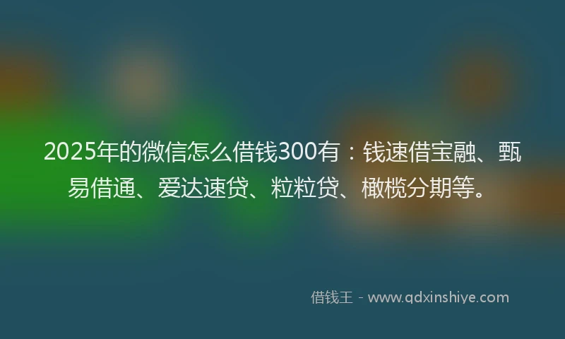 2025年的微信怎么借钱300有：钱速借宝融、甄易借通、爱达速贷、粒粒贷、橄榄分期等。