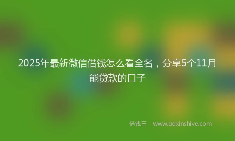 2025年最新微信借钱怎么看全名，分享5个11月能贷款的口子