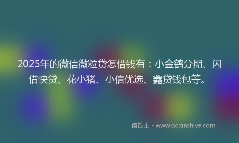 2025年的微信微粒贷怎借钱有：小金鹤分期、闪借快贷、花小猪、小信优选、鑫贷钱包等。