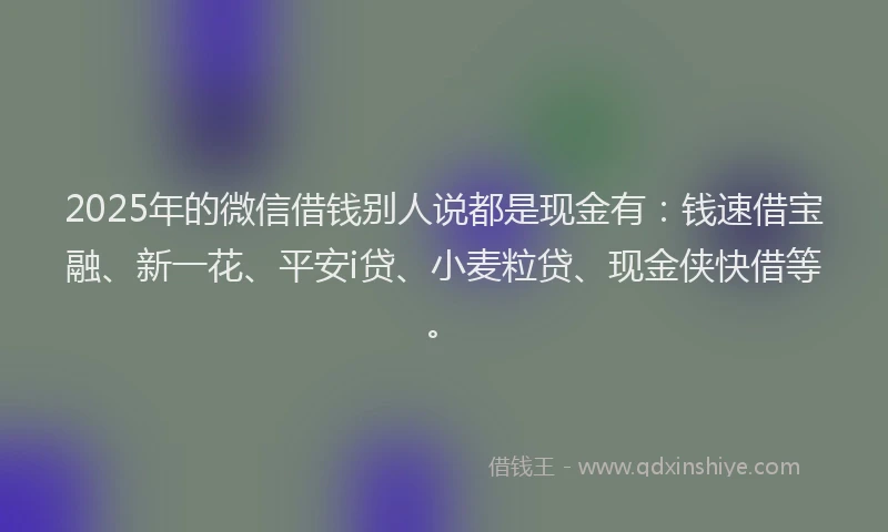 2025年的微信借钱别人说都是现金有：钱速借宝融、新一花、平安i贷、小麦粒贷、现金侠快借等。