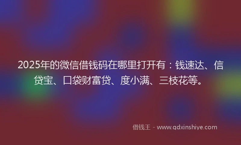 2025年的微信借钱码在哪里打开有：钱速达、信贷宝、口袋财富贷、度小满、三枝花等。