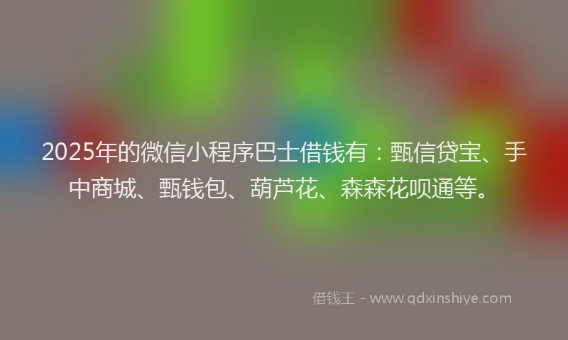 2025年的微信小程序巴士借钱有：甄信贷宝、手中商城、甄钱包、葫芦花、森森花呗通等。