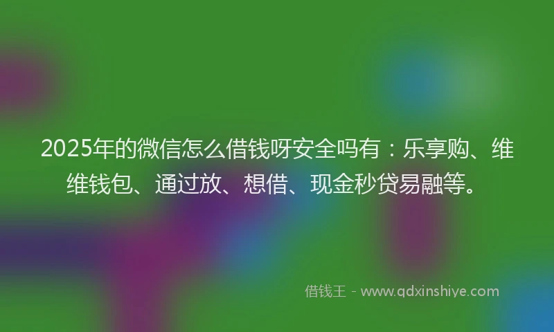 2025年的微信怎么借钱呀安全吗有：乐享购、维维钱包、通过放、想借、现金秒贷易融等。