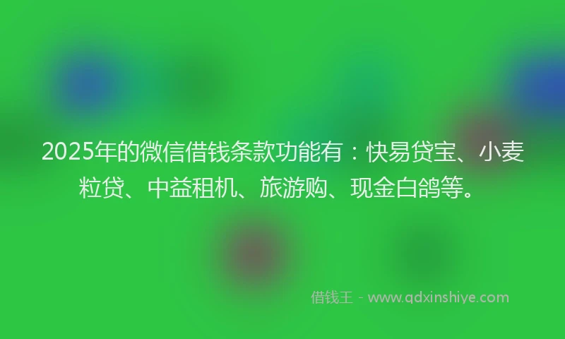 2025年的微信借钱条款功能有：快易贷宝、小麦粒贷、中益租机、旅游购、现金白鸽等。