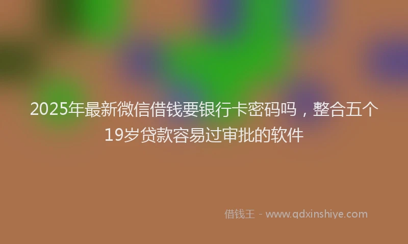 2025年最新微信借钱要银行卡密码吗，整合五个19岁贷款容易过审批的软件