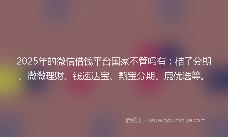 2025年的微信借钱平台国家不管吗有：桔子分期、微微理财、钱速达宝、甄宝分期、鹿优选等。