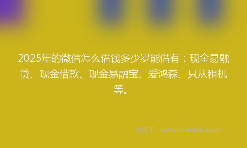 2025年的微信怎么借钱多少岁能借有：现金易融贷、现金借款、现金易融宝、爱鸿森、只从租机等。