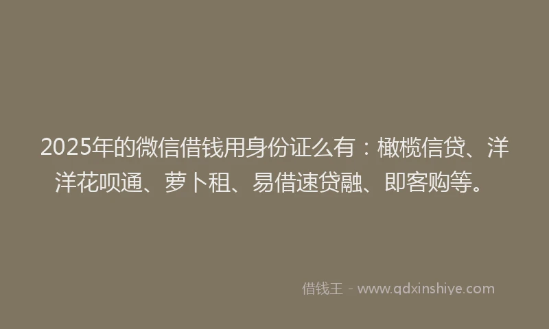 2025年的微信借钱用身份证么有：橄榄信贷、洋洋花呗通、萝卜租、易借速贷融、即客购等。
