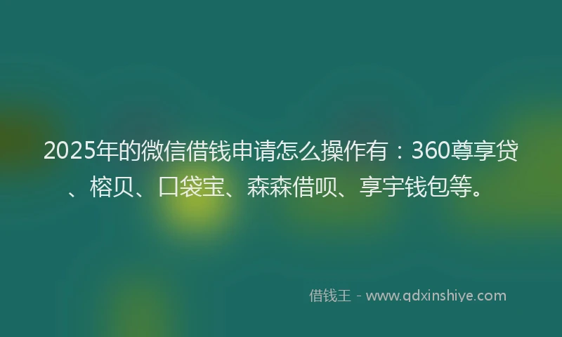 2025年的微信借钱申请怎么操作有：360尊享贷、榕贝、口袋宝、森森借呗、享宇钱包等。