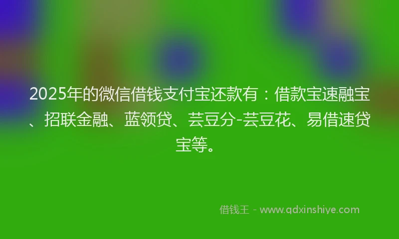 2025年的微信借钱支付宝还款有：借款宝速融宝、招联金融、蓝领贷、芸豆分-芸豆花、易借速贷宝等。