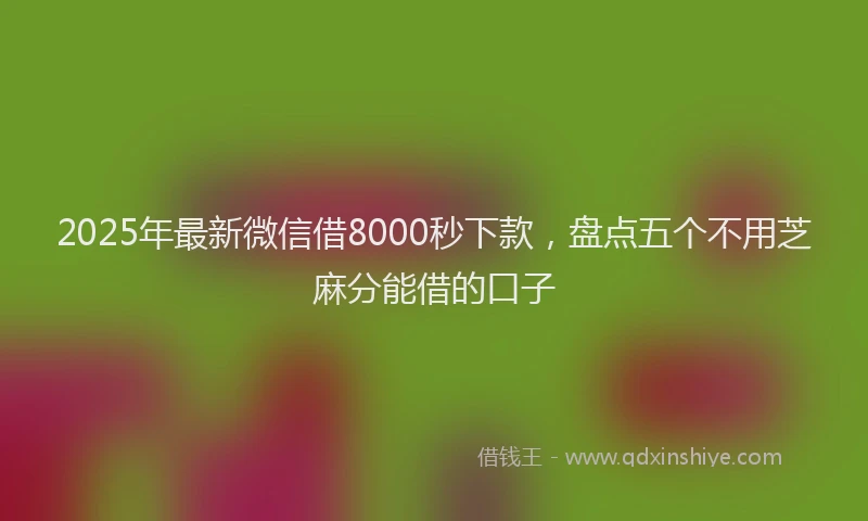 2025年最新微信借8000秒下款，盘点五个不用芝麻分能借的口子