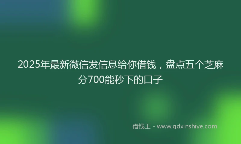 2025年最新微信发信息给你借钱，盘点五个芝麻分700能秒下的口子