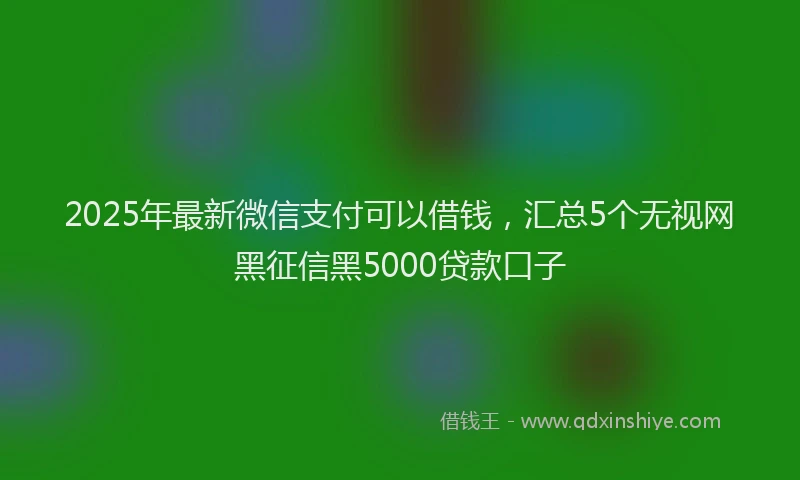 2025年最新微信支付可以借钱，汇总5个无视网黑征信黑5000贷款口子