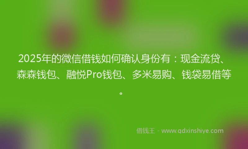 2025年的微信借钱如何确认身份有：现金流贷、森森钱包、融悦Pro钱包、多米易购、钱袋易借等。