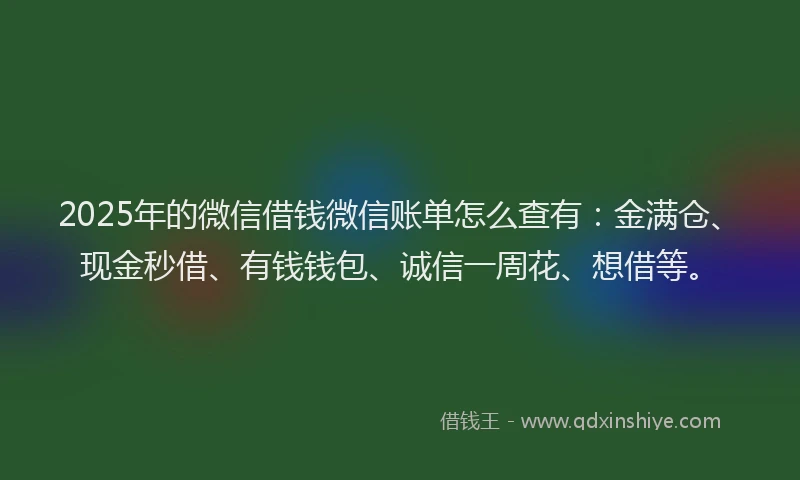 2025年的微信借钱微信账单怎么查有:金满仓、现金秒借、有钱钱包、诚信一周花、想借等。