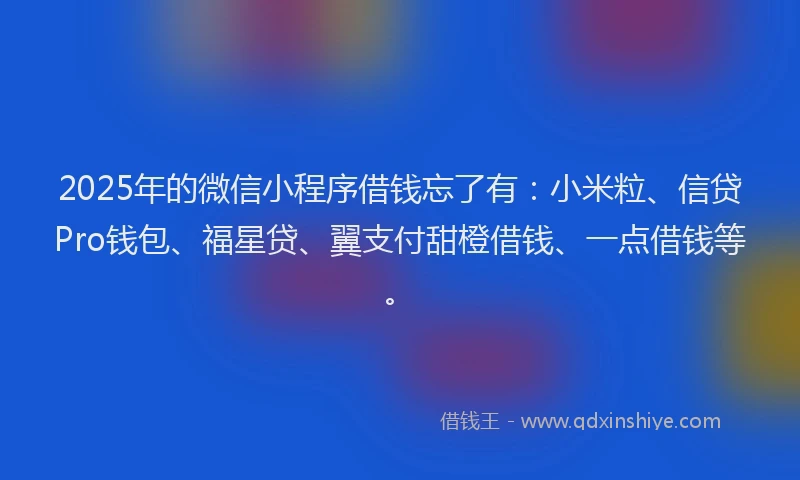 2025年的微信小程序借钱忘了有：小米粒、信贷Pro钱包、福星贷、翼支付甜橙借钱、一点借钱等。