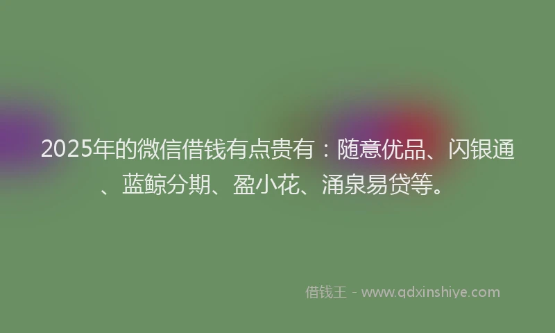 2025年的微信借钱有点贵有：随意优品、闪银通、蓝鲸分期、盈小花、涌泉易贷等。