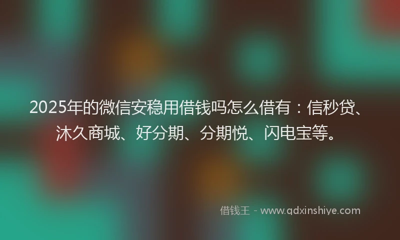 2025年的微信安稳用借钱吗怎么借有：信秒贷、沐久商城、好分期、分期悦、闪电宝等。