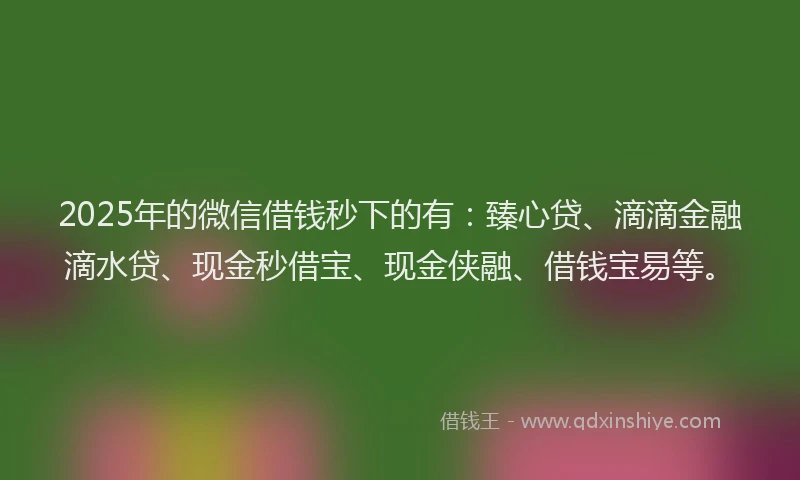 2025年的微信借钱秒下的有：臻心贷、滴滴金融滴水贷、现金秒借宝、现金侠融、借钱宝易等。