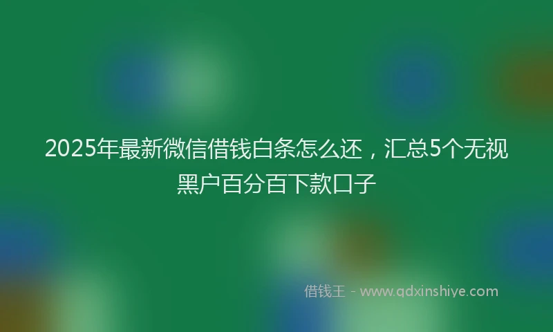 2025年最新微信借钱白条怎么还，汇总5个无视黑户百分百下款口子