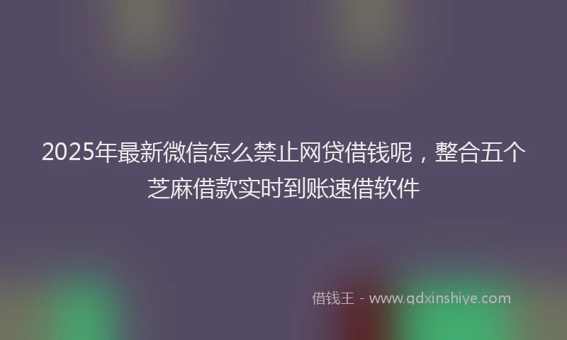 2025年最新微信怎么禁止网贷借钱呢，整合五个芝麻借款实时到账速借软件