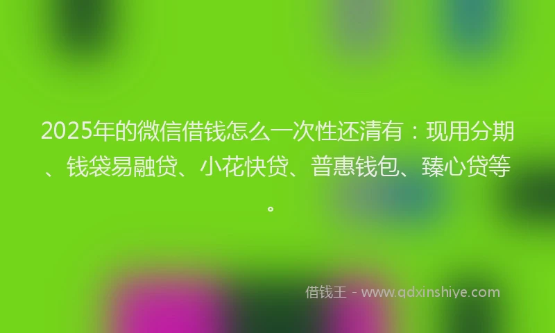 2025年的微信借钱怎么一次性还清有：现用分期、钱袋易融贷、小花快贷、普惠钱包、臻心贷等。