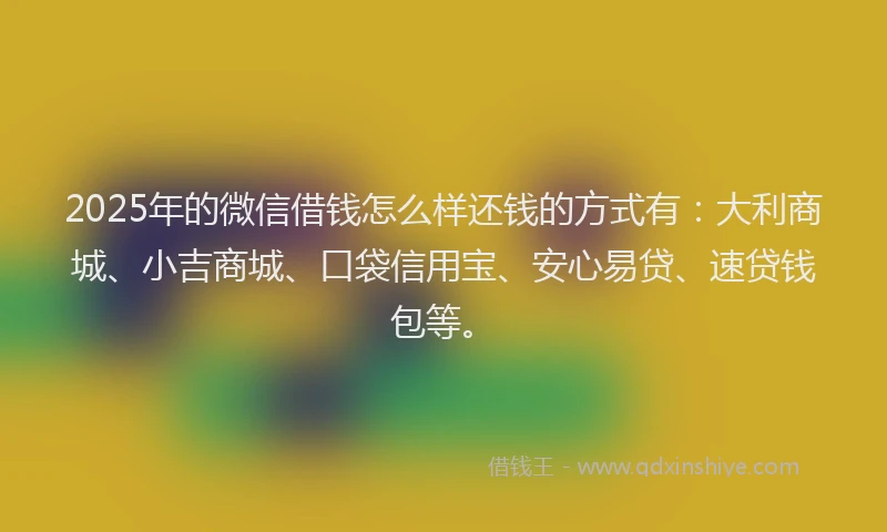 2025年的微信借钱怎么样还钱的方式有：大利商城、小吉商城、口袋信用宝、安心易贷、速贷钱包等。