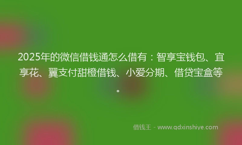2025年的微信借钱通怎么借有：智享宝钱包、宜享花、翼支付甜橙借钱、小爱分期、借贷宝盒等。