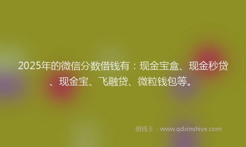 2025年的微信分数借钱有：现金宝盒、现金秒贷、现金宝、飞融贷、微粒钱包等。