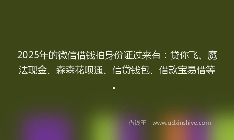 2025年的微信借钱拍身份证过来有：贷你飞、魔法现金、森森花呗通、信贷钱包、借款宝易借等。
