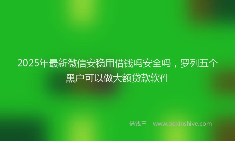 2025年最新微信安稳用借钱吗安全吗，罗列五个黑户可以做大额贷款软件