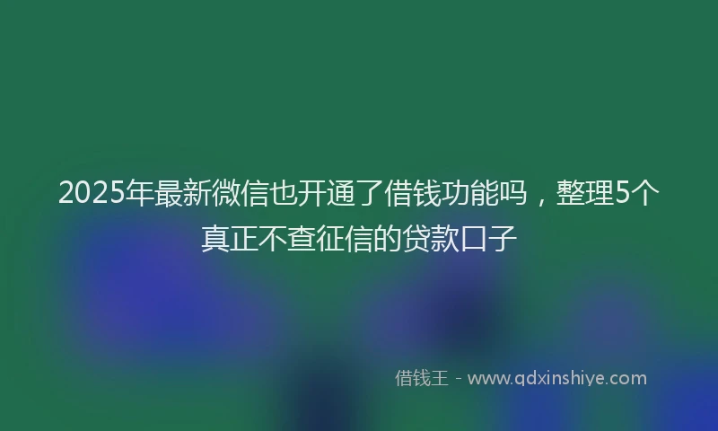 2025年最新微信也开通了借钱功能吗，整理5个真正不查征信的贷款口子