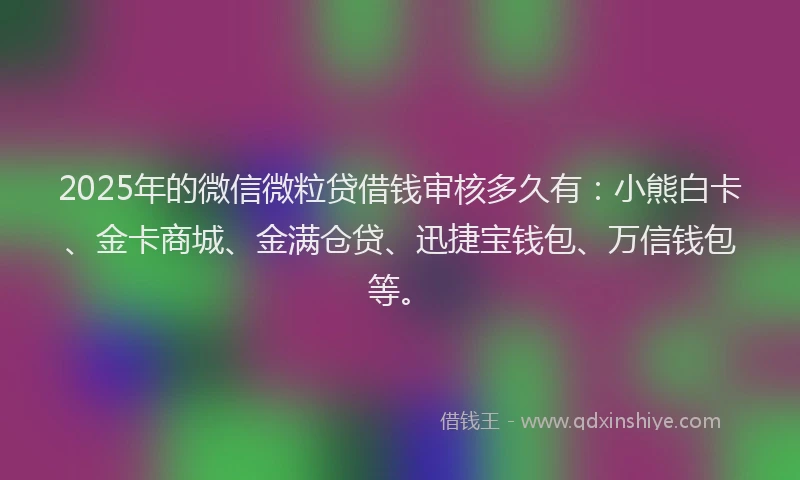2025年的微信微粒贷借钱审核多久有：小熊白卡、金卡商城、金满仓贷、迅捷宝钱包、万信钱包等。