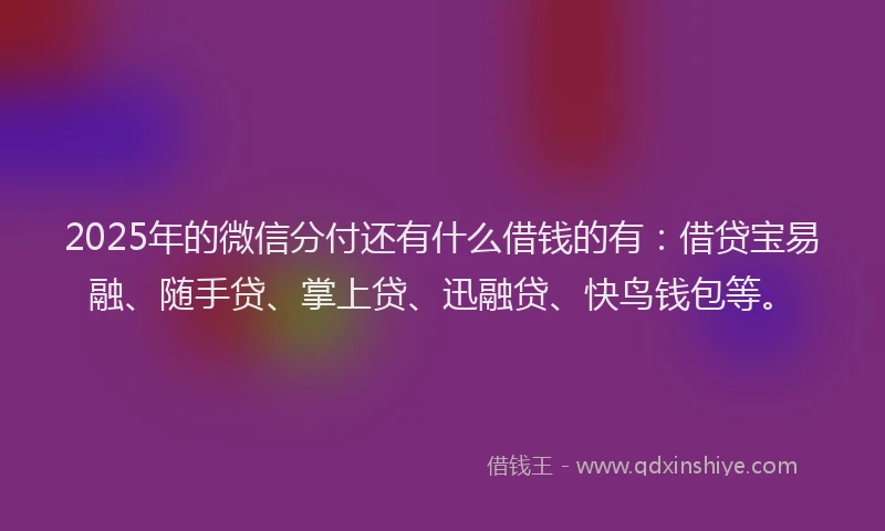 2025年的微信分付还有什么借钱的有：借贷宝易融、随手贷、掌上贷、迅融贷、快鸟钱包等。