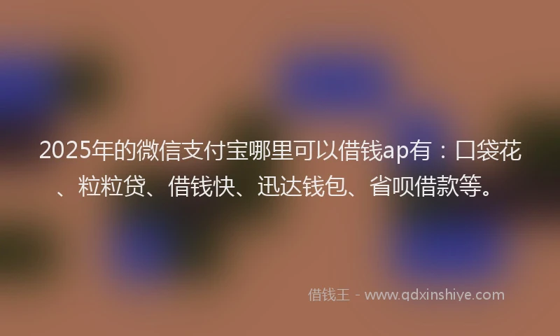 2025年的微信支付宝哪里可以借钱ap有：口袋花、粒粒贷、借钱快、迅达钱包、省呗借款等。