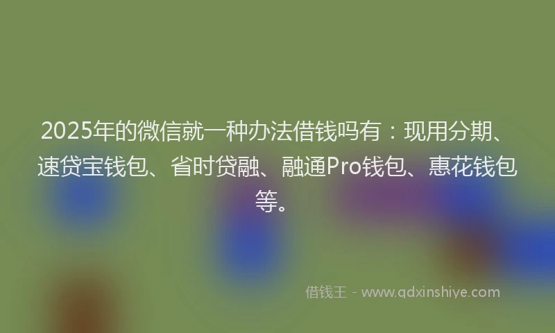 2025年的微信就一种办法借钱吗有：现用分期、速贷宝钱包、省时贷融、融通Pro钱包、惠花钱包等。