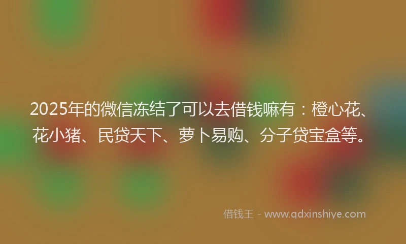2025年的微信冻结了可以去借钱嘛有：橙心花、花小猪、民贷天下、萝卜易购、分子贷宝盒等。