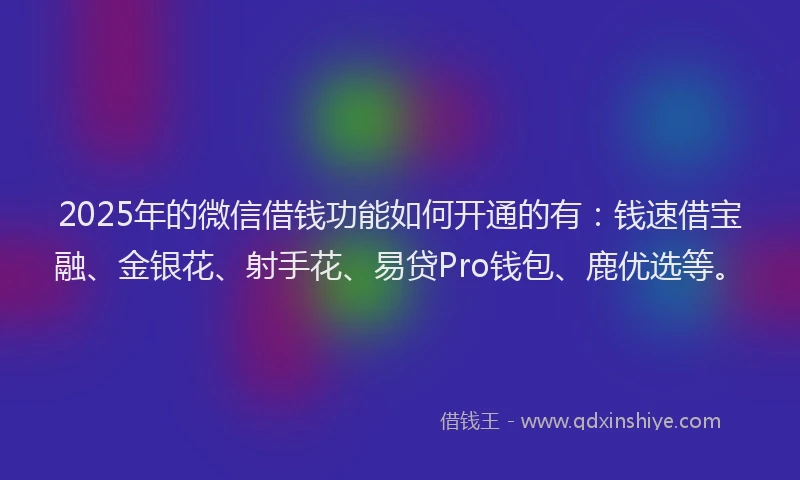 2025年的微信借钱功能如何开通的有：钱速借宝融、金银花、射手花、易贷Pro钱包、鹿优选等。