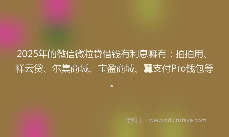 2025年的微信微粒贷借钱有利息嘛有：拍拍用、祥云贷、尔集商城、宝盈商城、翼支付Pro钱包等。
