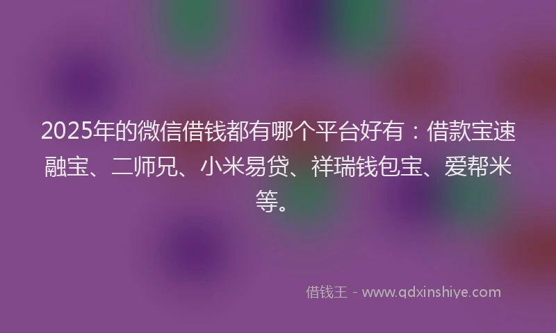 2025年的微信借钱都有哪个平台好有：借款宝速融宝、二师兄、小米易贷、祥瑞钱包宝、爱帮米等。