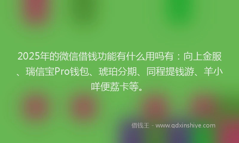 2025年的微信借钱功能有什么用吗有：向上金服、瑞信宝Pro钱包、琥珀分期、同程提钱游、羊小咩便荔卡等。