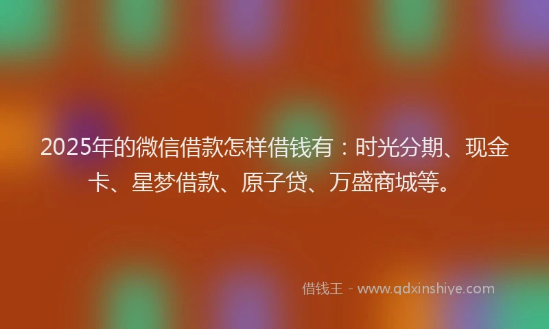 2025年的微信借款怎样借钱有：时光分期、现金卡、星梦借款、原子贷、万盛商城等。
