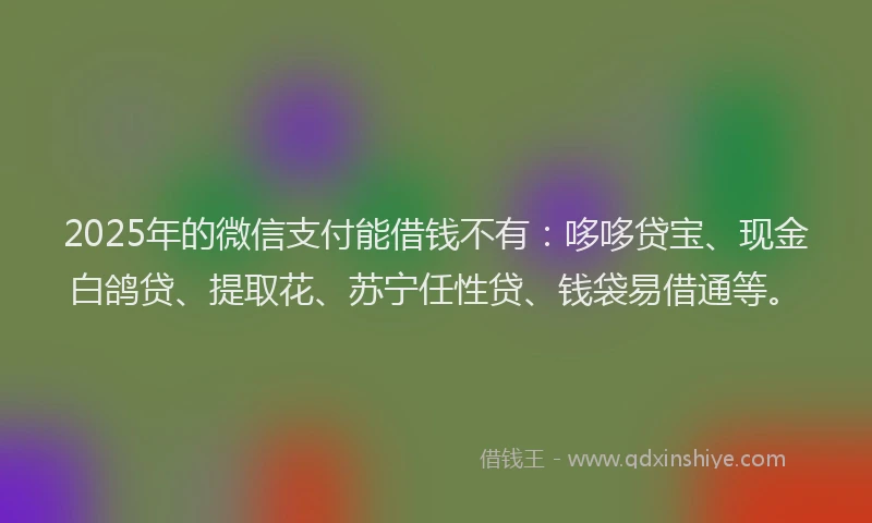 2025年的微信支付能借钱不有：哆哆贷宝、现金白鸽贷、提取花、苏宁任性贷、钱袋易借通等。