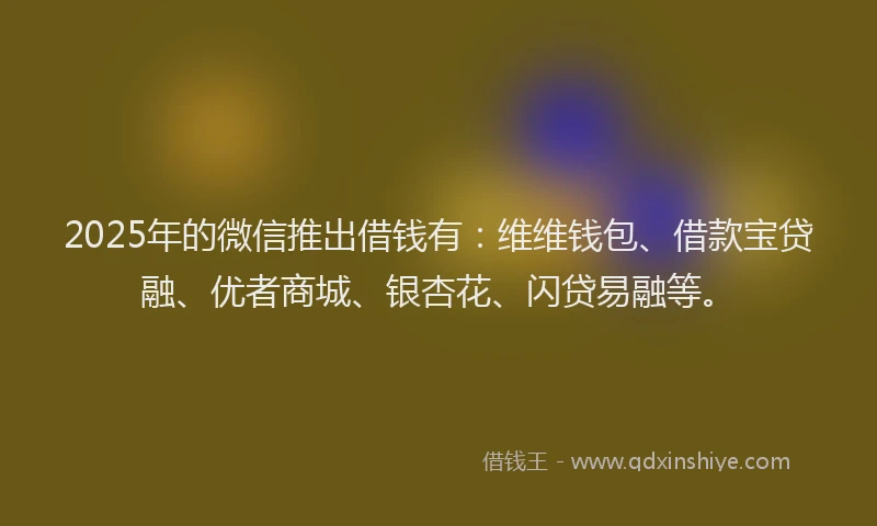 2025年的微信推出借钱有：维维钱包、借款宝贷融、优者商城、银杏花、闪贷易融等。