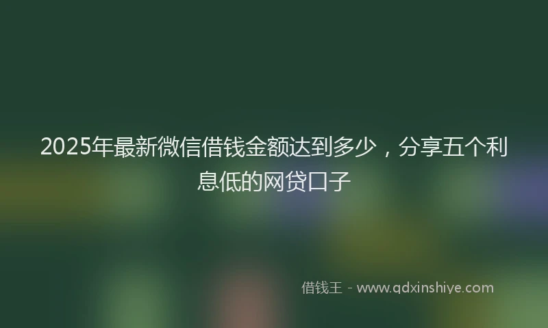 2025年最新微信借钱金额达到多少，分享五个利息低的网贷口子